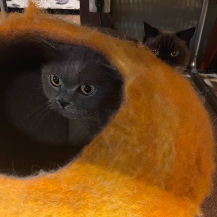 331d1237 37e1 4a61 8c65 447ed388af1d 1666270701767