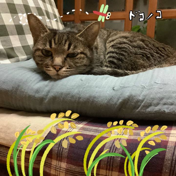 331d72d6 f434 4f57 8c52 6439b24fd1ef 1761115892423