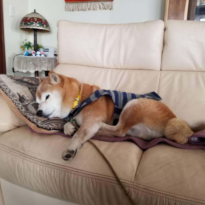 331dcc1b 37d4 44b9 b390 e4fc64a2fecc 1674265084976