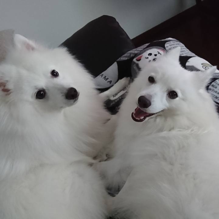 331dd8a5 74a9 44e4 9e59 104a85185e9d 1564725444355