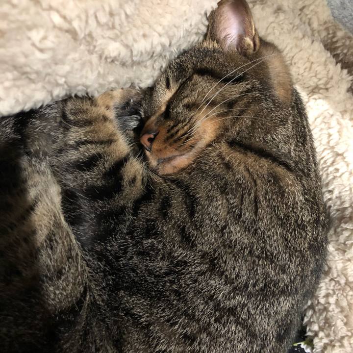 331e0314 8a7e 4af5 a4a9 282494a555ae 1577520043446