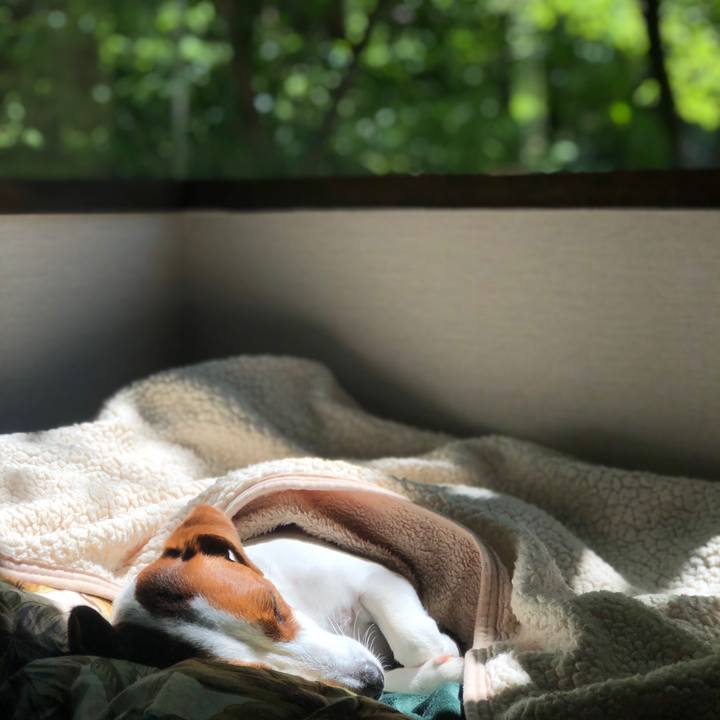 331e1c8e 1e8e 4847 af66 679a35dcc1d5 1557484164178