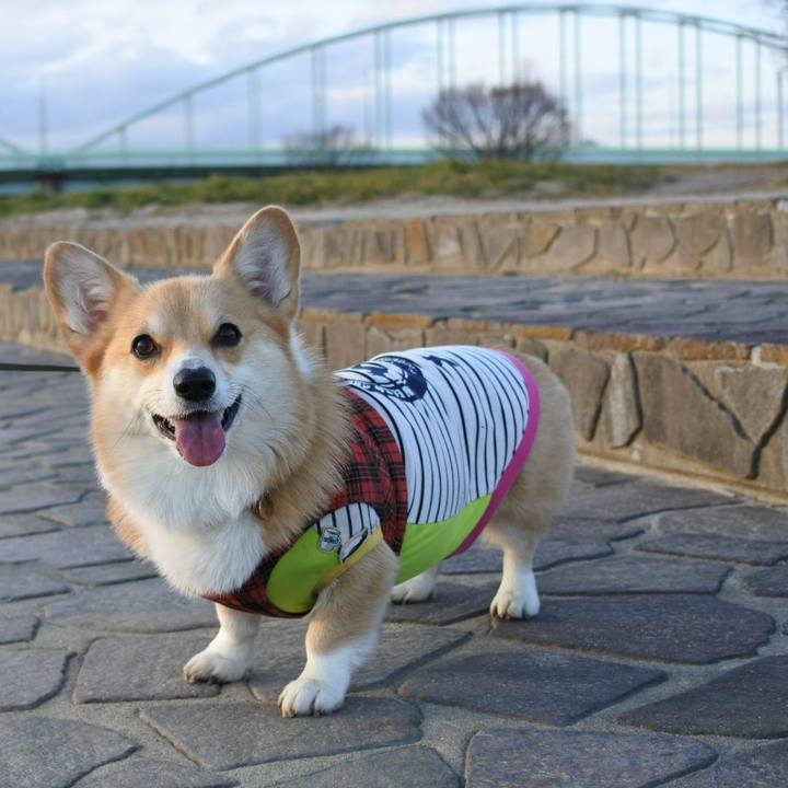 331e5050 039e 43de 8798 f581cd328d12 1578829808274