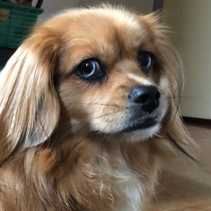 331e5b50 82cd 424d 885e 6ca69914a0e9 1564118030733