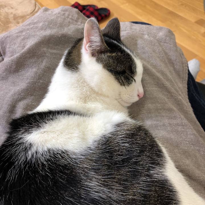 331e7518 2512 4e00 a6cf 4d7f7601df03 1615885325611