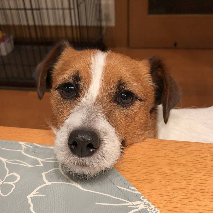 331ebafc 505a 48aa 941e 4d277a16c4b6 1517574994713