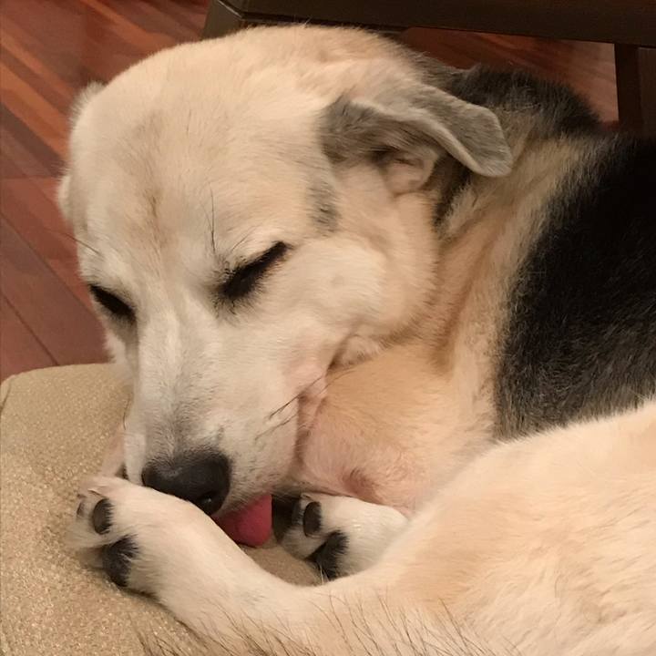 331ec322 5981 4c51 9ce9 ccadb331bc1c 1576233083876