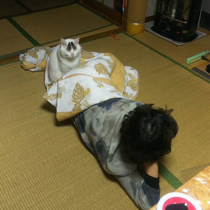 331ecb8d c35d 4713 a315 d0a7c8ee46fa 1541985080486