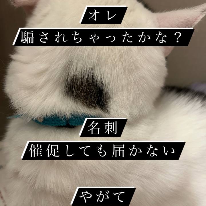 331f337a 7635 47a6 b777 29f39a64b868 1763415699962