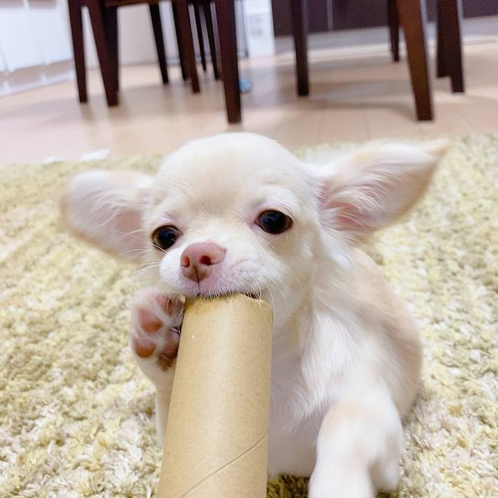 331f57d5 e2ec 4491 b64f 947d7ca44712 1594203069725