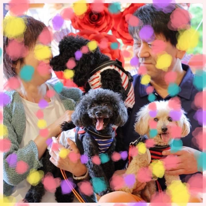 331fadd5 a51f 4d61 ae97 e8885b85d508 1716558779069