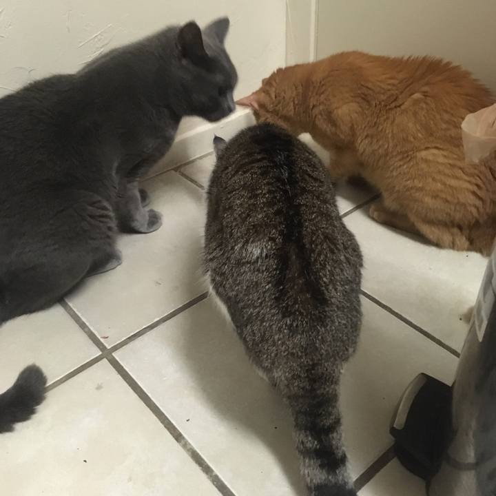 331faec8 408a 418a 864d 019b2fefccee 1633923454403