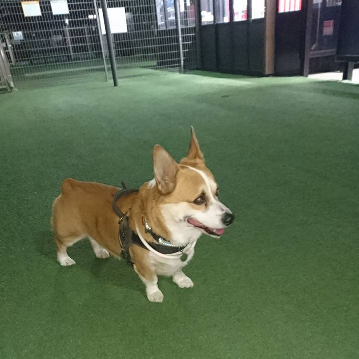 331fe0eb 7c43 4220 8af4 797969931bb8 1649422177699