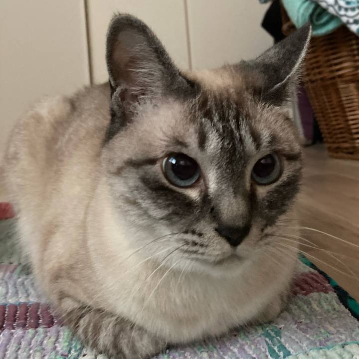 331fe349 74fa 41ce ad98 ccb980378522 1654471434170