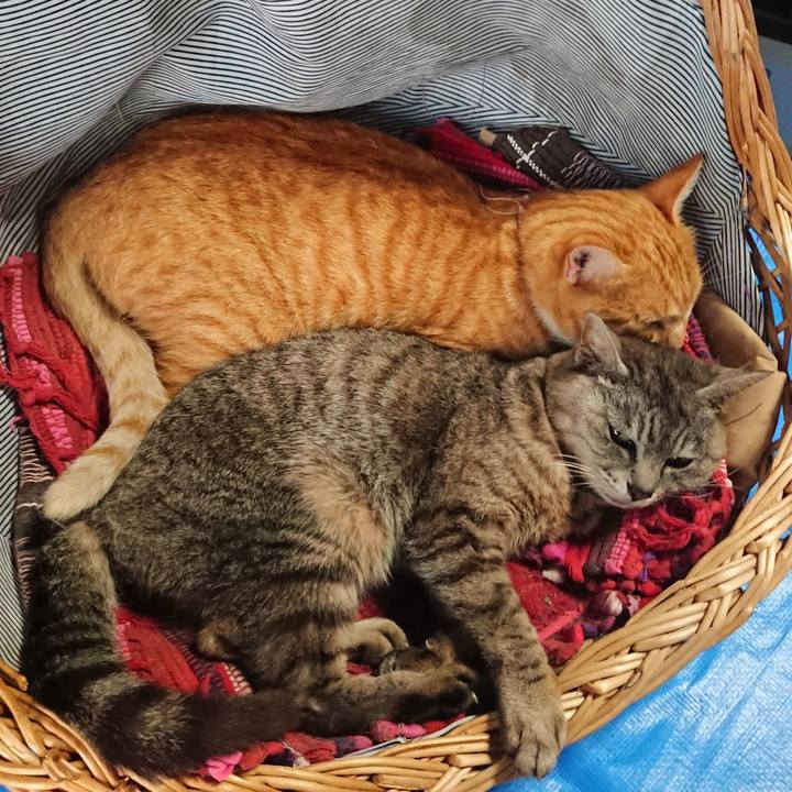 33202047 346c 4f1e 920c dd7409f29f44 1564275225406