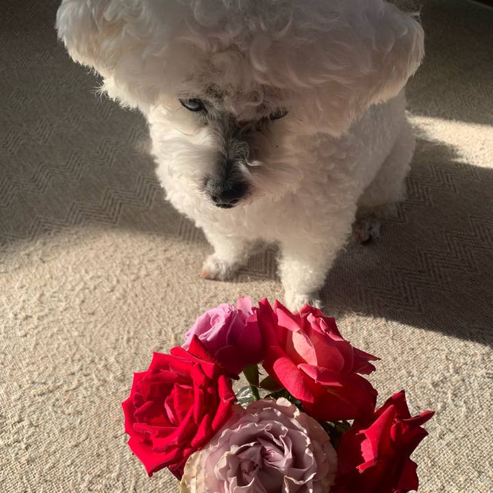 3320403d cac6 495c 91ae eb2a73a02d5a 1699504580820