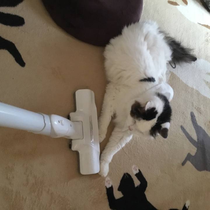 33207681 f9fd 47dc 93cf de5bd9b8c719 1580026025164