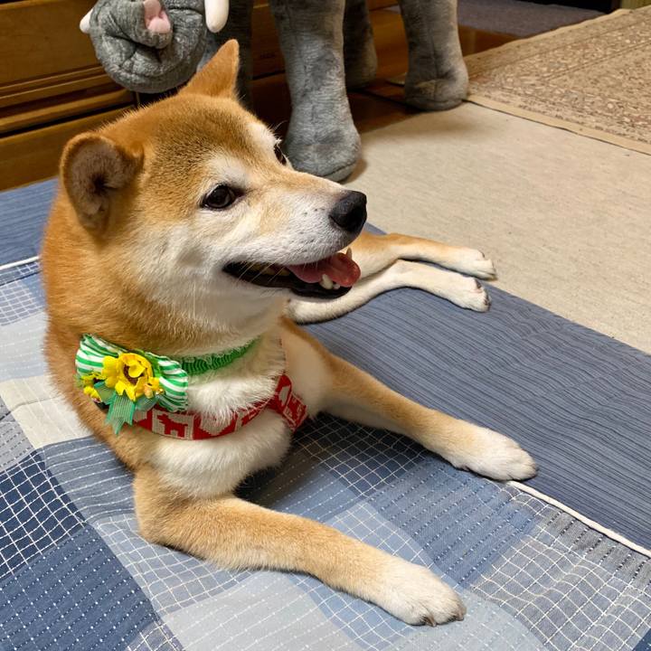 3320dc48 c799 4ef1 b35e 8724d04484b7 1566387833311