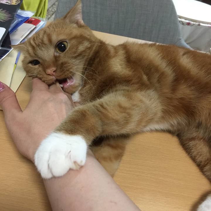 3320ed3f 14b1 471d a5eb 98f34e3d6d22 1561996988664