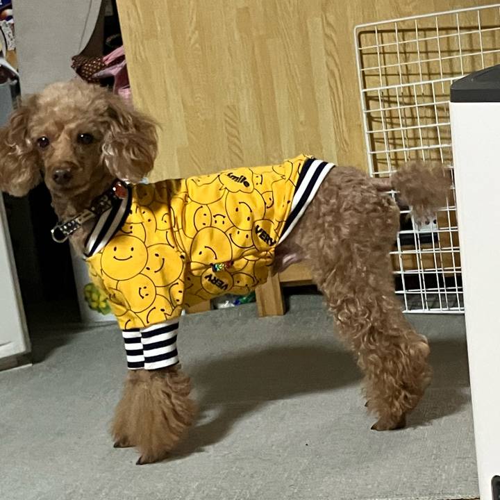 3320f76b a287 4407 bd84 b45be5ec0f70 1674890186533