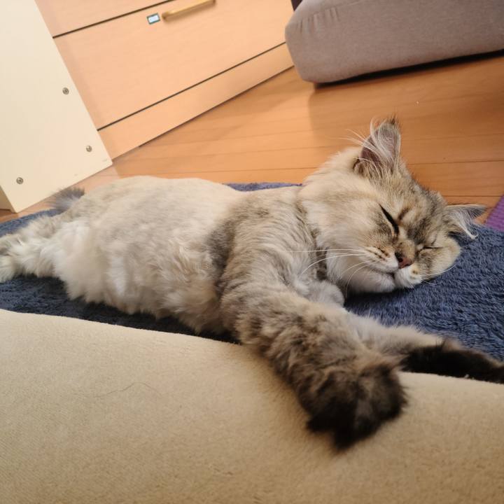 332127b9 81bc 4e44 981e 591ab67ac637 1626069069733