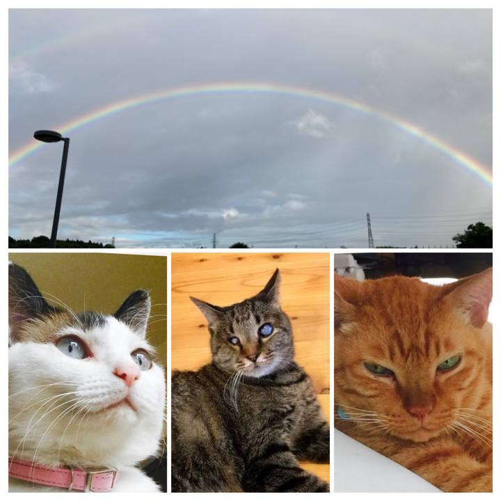 33212e15 bac4 484c 8fe4 a2f48be96835 1691562830089