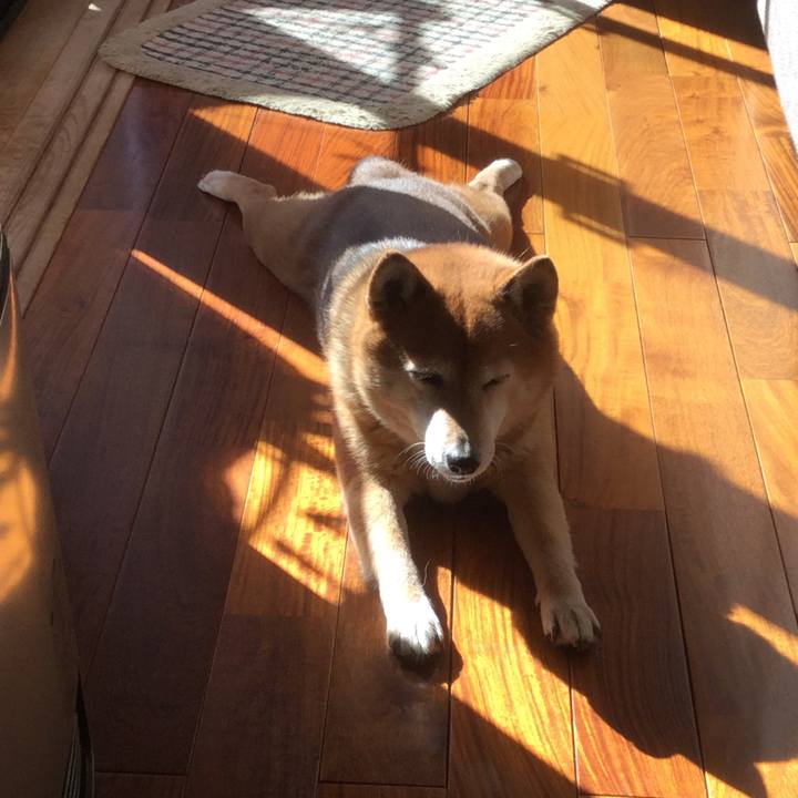 3321420d 9d62 4bda a857 7936666961ca 1611744828376