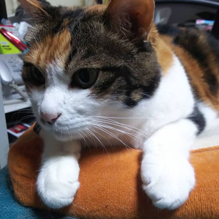 33217321 2fcd 4e09 a95e 0e1d0c513989 1562190873257