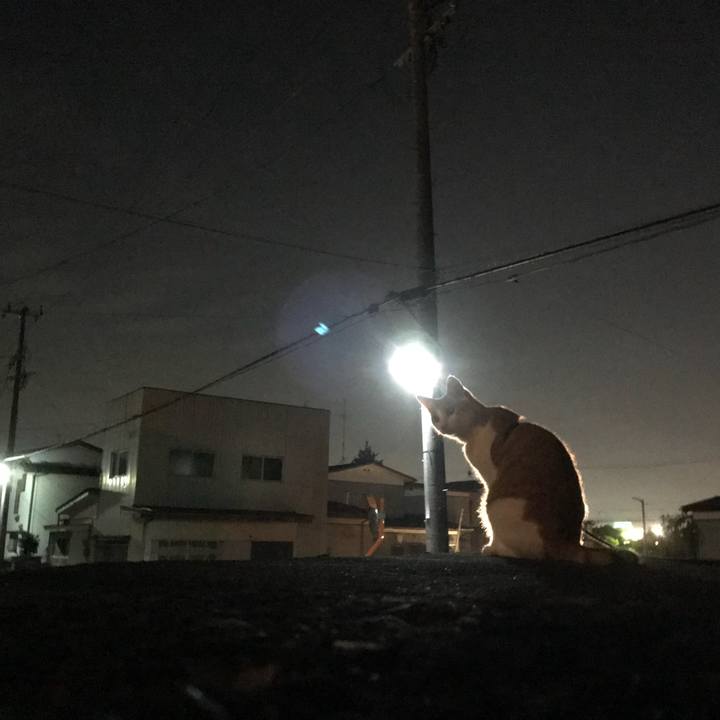 332189f6 ea19 4f52 bb16 b67aba25be64 1509791540128