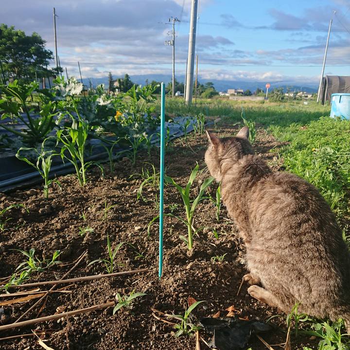 3321c8ad 9111 4356 9d6f 80132de0613b 1592340233951