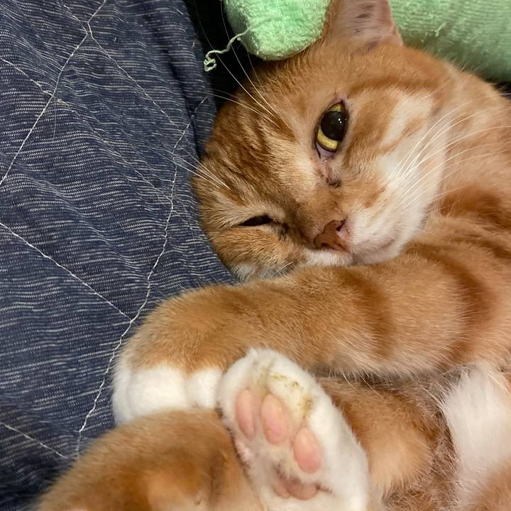 3321e519 3bfc 4648 9678 8e346b61a75a 1625748367707