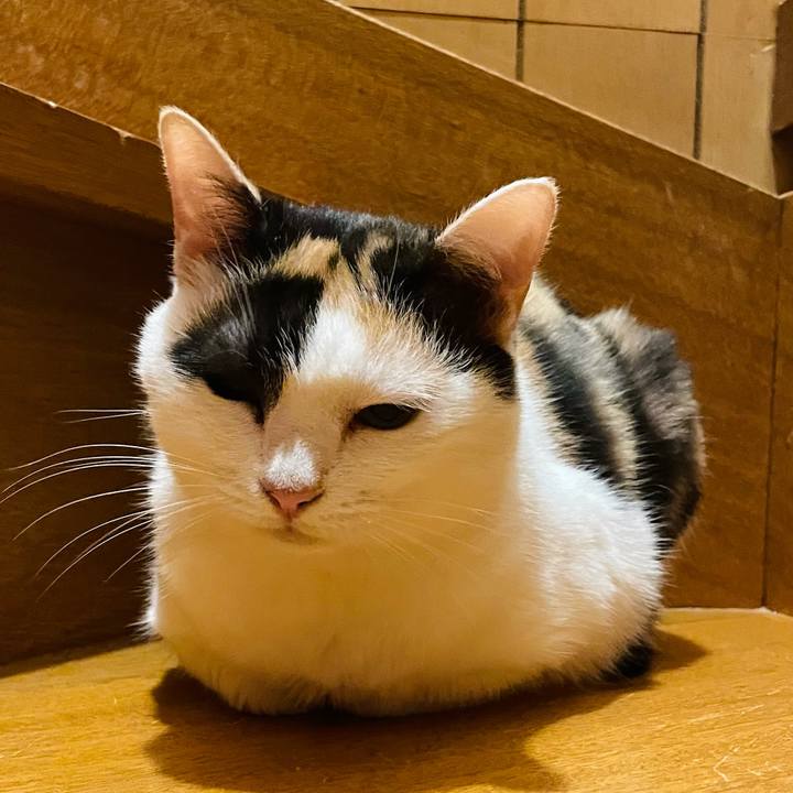 3321fad6 bc82 475a 9ca6 9fcbd1e67e0c 1629249187966