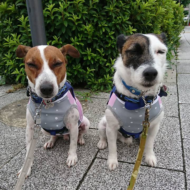 33226ec4 27f4 4539 9bb8 4a99354f91ec 1593469980551