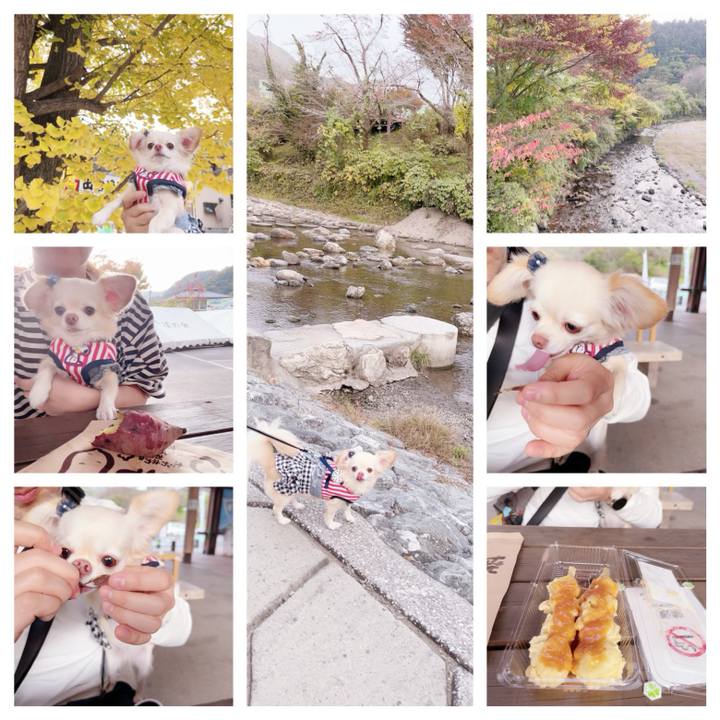 3322b8a6 2846 4207 8a54 b5e970619cb6 1699168884045