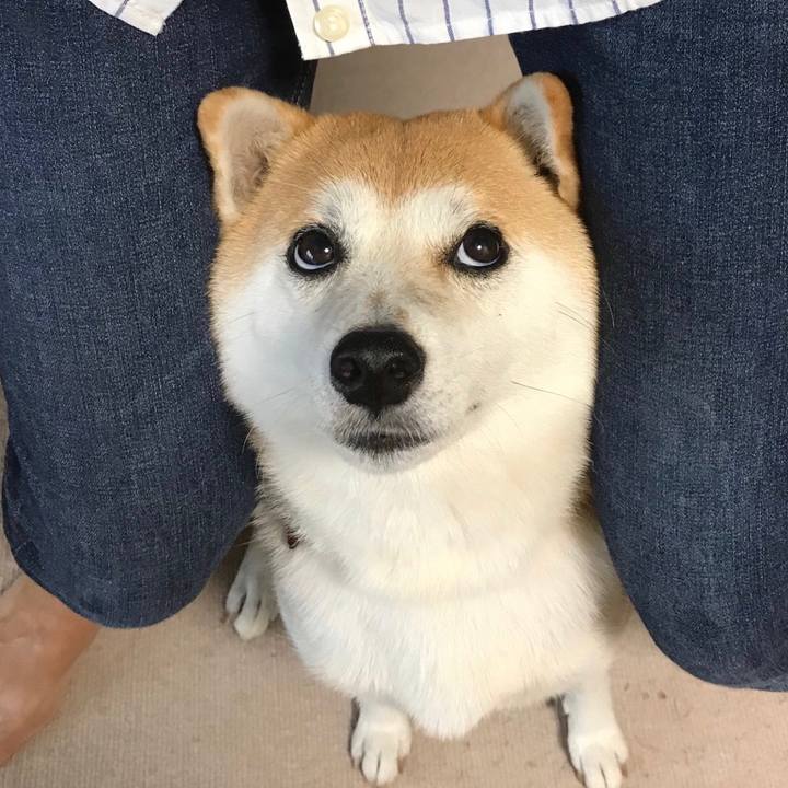 3322cd5f 7f6b 4005 b062 e413ba0c9807 1538186270258