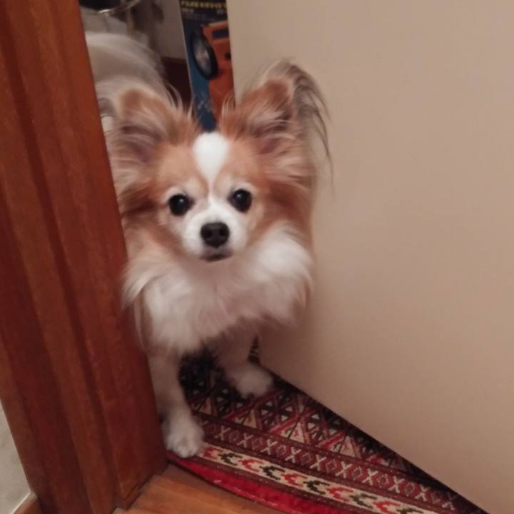 3322ef6f c6d6 45ff aeee 88f63446f6ea 1543335309798