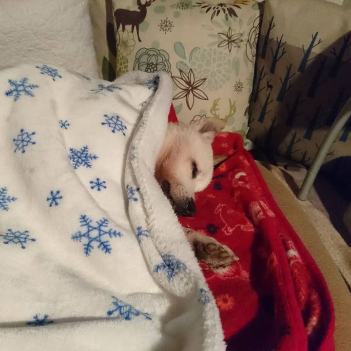 332309e6 2447 4720 b3de 25493d5ac232 1547081145673