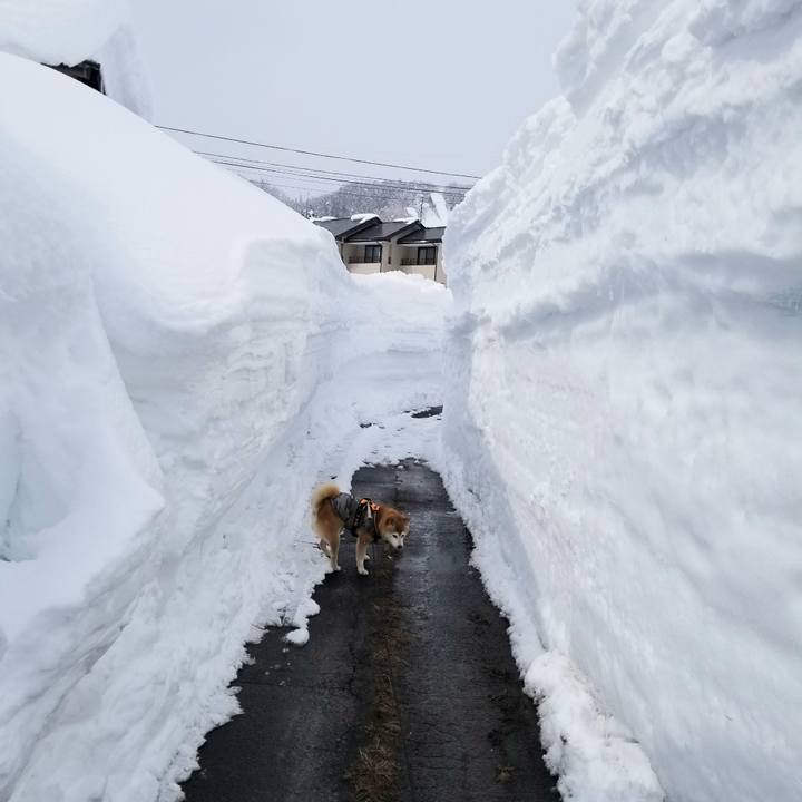 33232dd6 1b41 4df2 8833 50f09e342cc8 1645597645076