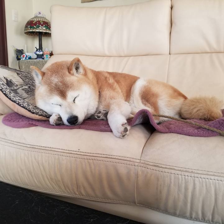 33235841 4a06 4a29 879f 4fb1e97a8c99 1713050923835