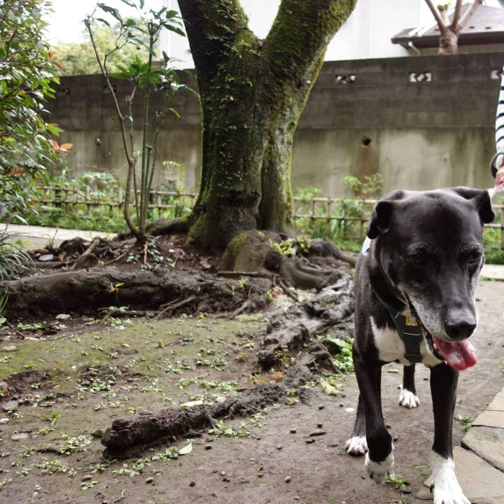 3323aacd dfc1 4787 bf9e 1f2fa804939b 1728520260649