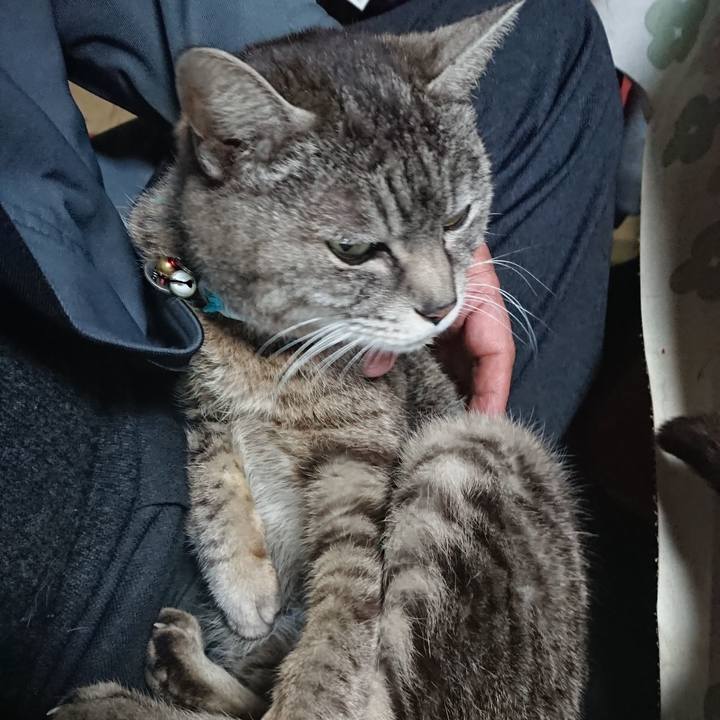 3323ad33 8f76 4489 841a 3b56b48eb6c6 1554328272297