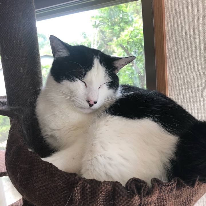 3323b539 0885 47f9 92b9 f85a8cd8f6db 1559462312033