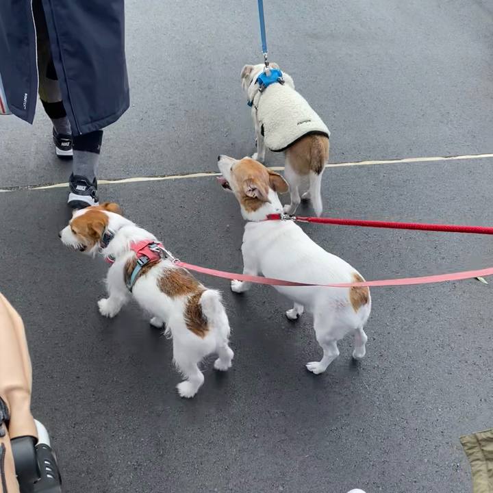 3323b73f 4227 47fc 8d7f 9981046bf923 1708244516813