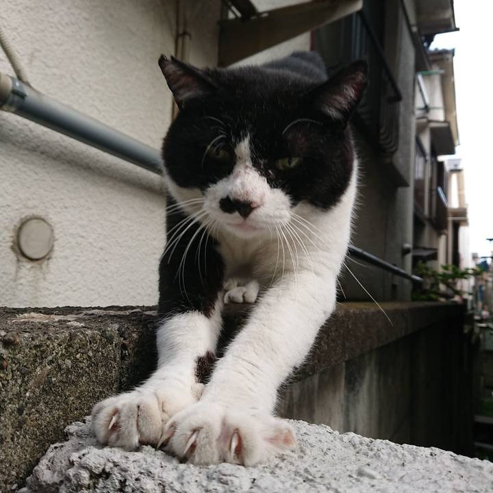 3323eecd d59a 4dd5 a4ac d45761d3ef7c 1532647222267