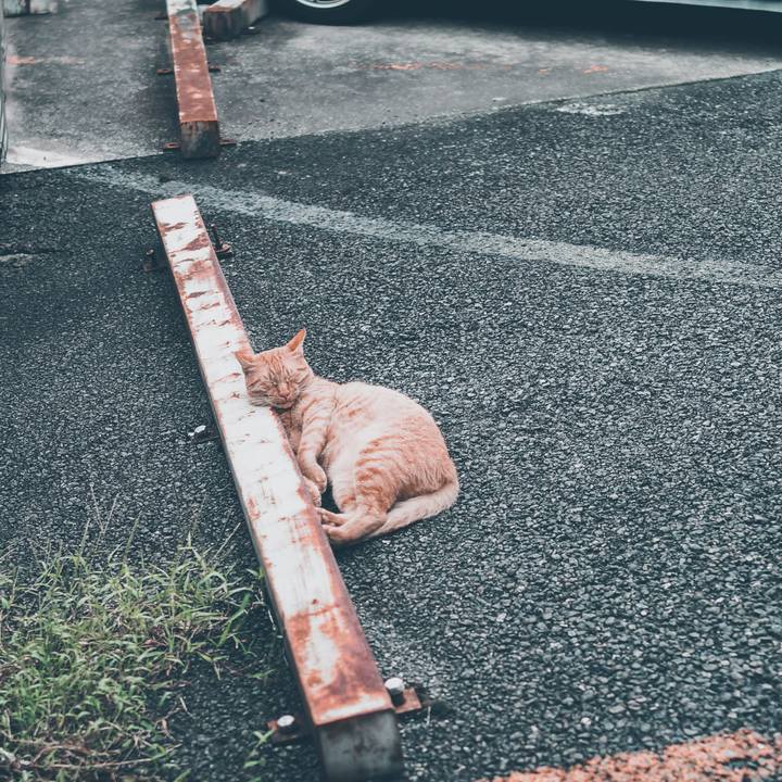 3323f4fd c6d9 4eb6 b0da 5413c28d07c0 1536799933174