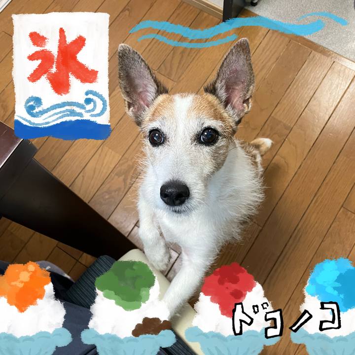 3324420a 036e 44cc 82a2 4f6cbd2f95aa 1723591088259