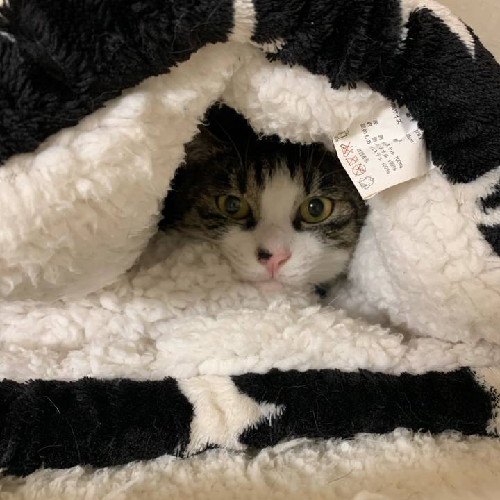 3324969b 1e67 4acb a28b 347aa59cccf8 1573980545813