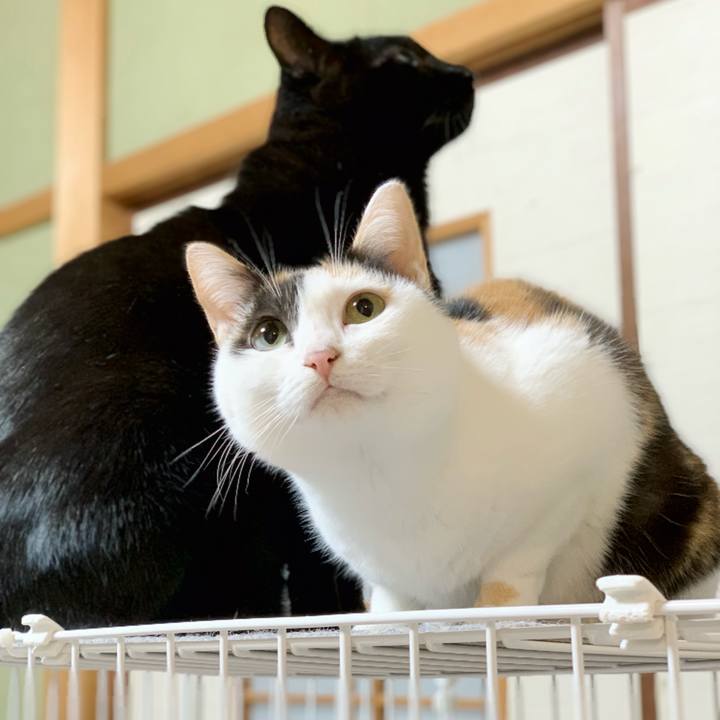 3324b3b0 7b71 4143 be4a 3431952c68be 1542770832169