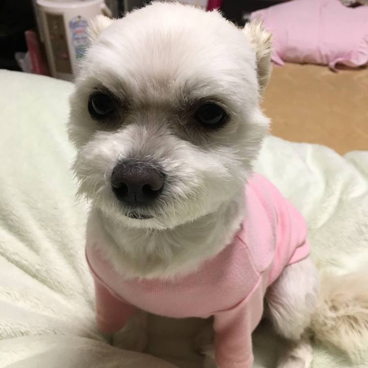 3324b757 3367 41b5 8426 222625d190f6 1547120535718