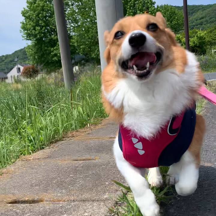 3324dfff 5449 4462 8736 89e9140d6119 1652151507292